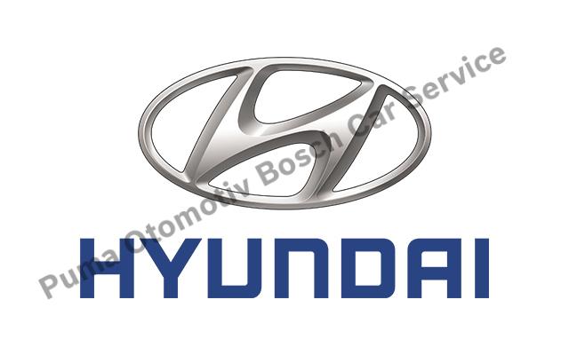 Mersin Hyundai Servisi