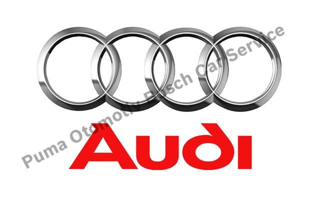 Mersin Audi Servisi